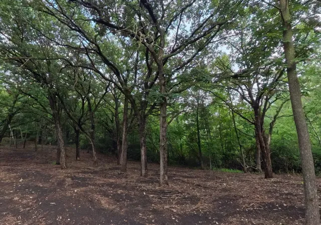 Photo 4 of Land for sale at Lot 2 S Le Homme Dieu Dr NE, Alexandria, MN 56308 | MLS# 7120337 | Listing updated on 2026-08-05