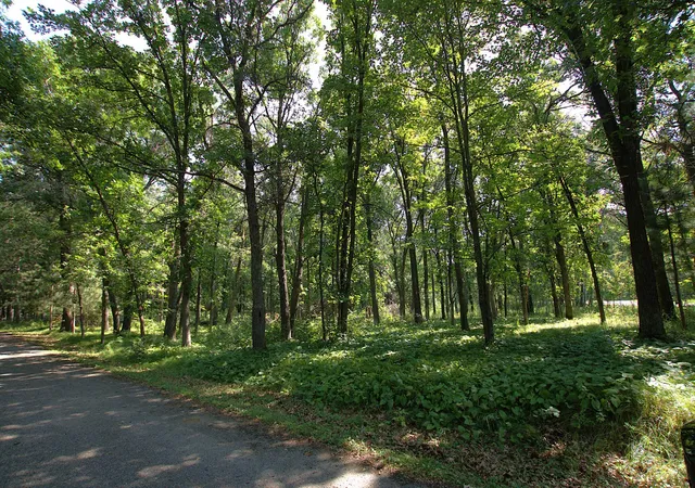 5th image of Tbd River Ridge Circle, Staples, MN 56479 | MLS# 7120413