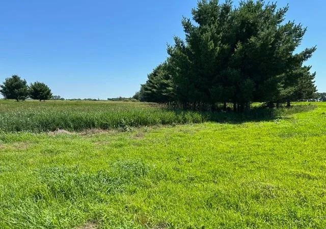15th image of Tbd 210th St, Glenwood, MN 56334 | MLS# 7120485