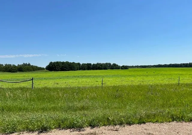 2nd image of Tbd 210th St, Glenwood, MN 56334 | MLS# 7120485