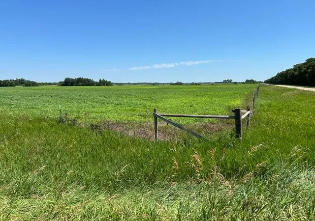 Photo 4 of Land for sale at Tbd 210th Street, Glenwood, MN 56334 | MLS# 7120485 | Listing updated on 2026-08-04