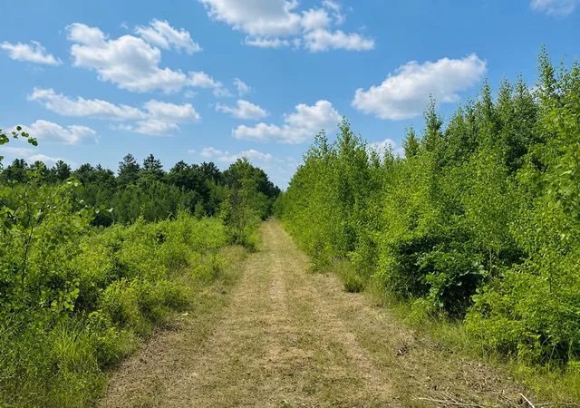 Photo 3 of Sale Pending at Tbd Chimney Rd, Nevis, MN 56467 | MLS# 7120493 | Listing updated on 2026-09-03