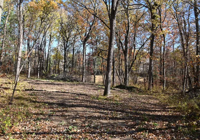 4th image of 39884 Pine Island Pt Dr, Browerville, MN 56438 | MLS# 7120566