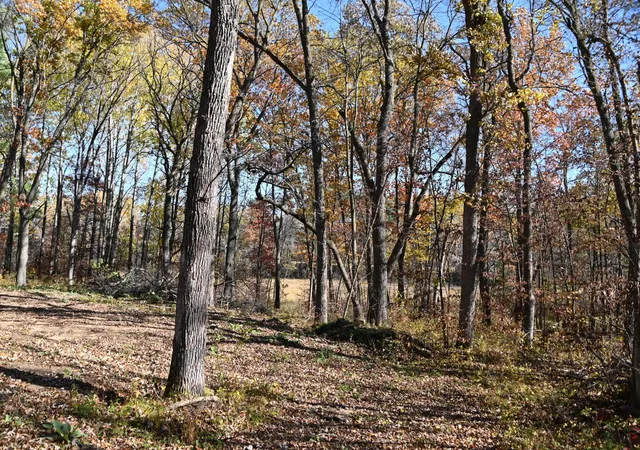 5th image of 39884 Pine Island Pt Dr, Browerville, MN 56438 | MLS# 7120566