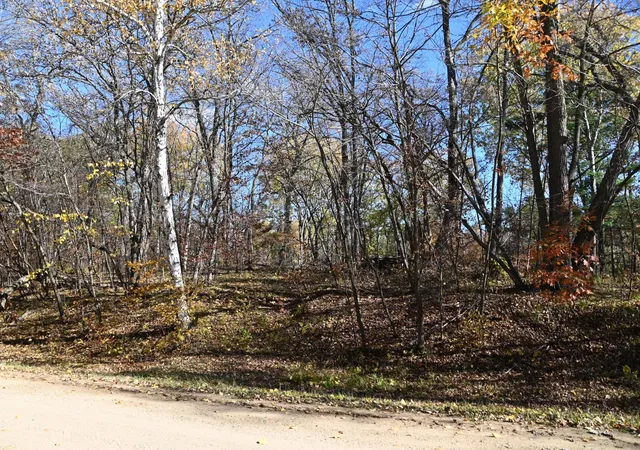 3rd image of 39906 Pine Island Pt Dr, Browerville, MN 56438 | MLS# 7120570