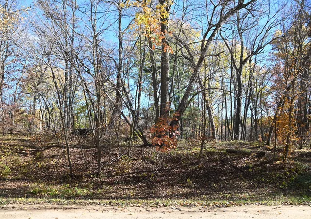 4th image of 39906 Pine Island Pt Dr, Browerville, MN 56438 | MLS# 7120570