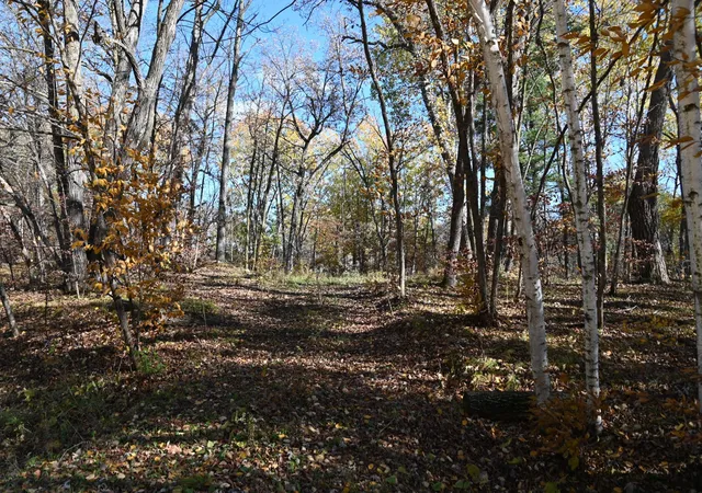 5th image of 39906 Pine Island Pt Dr, Browerville, MN 56438 | MLS# 7120570