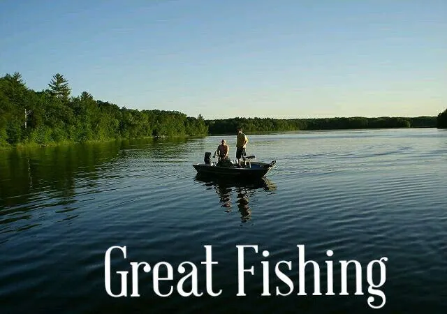 45th image of 27727 Oberon Loop, Browerville, MN 56438 | MLS# 7120580
