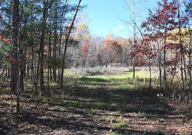 Photo 3 of Land for sale at 27727 Oberon Loop, Browerville, MN 56438 | MLS# 7120580 | Listing updated on 2026-09-22