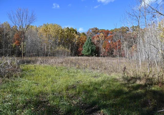 Photo 4 of Land for sale at 27727 Oberon Loop, Browerville, MN 56438 | MLS# 7120580 | Listing updated on 2026-09-22