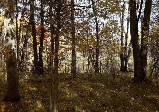 2nd image of 39902 Oriole Ct, Browerville, MN 56438 | MLS# 7120582