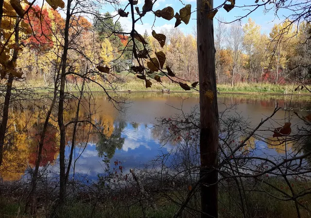 1st image of 39904 Oriole Ct, Browerville, MN 56438 | MLS# 7120584