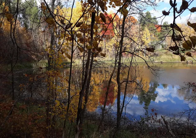 2nd image of 39904 Oriole Ct, Browerville, MN 56438 | MLS# 7120584