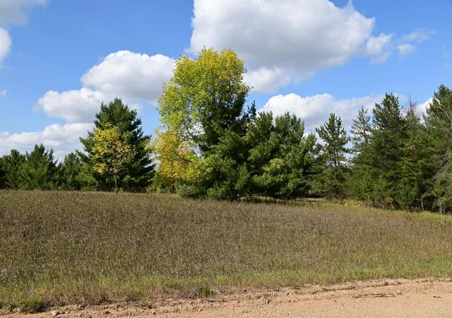 3rd image of Tbd Oak Dr, Browerville, MN 56438 | MLS# 7120590