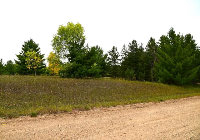 4th image of Tbd Oak Dr, Browerville, MN 56438 | MLS# 7120590