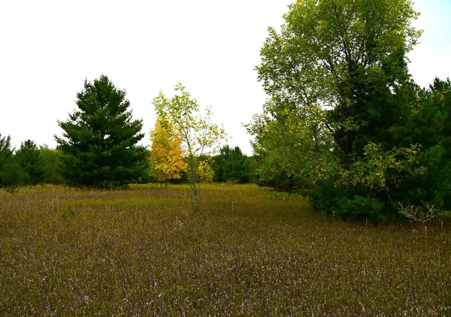 5th image of Tbd Oak Dr, Browerville, MN 56438 | MLS# 7120590