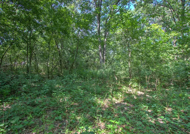 Photo 4 of Land for sale at Tbd Sodium St NW, Anoka, MN 55303 | MLS# 7120594 | Listing updated on 2026-08-14