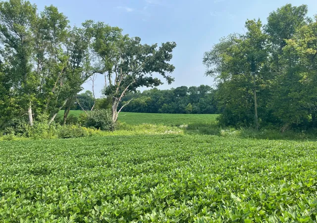 2nd image of Tbd Dodd Rd, Kilkenny, MN 56052 | MLS# 7120596