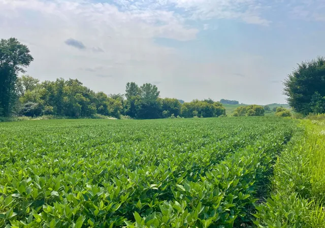 3rd image of Tbd Dodd Rd, Kilkenny, MN 56052 | MLS# 7120596