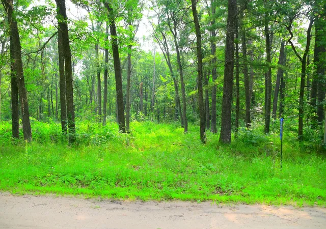 1st image of 38970 Odin Ct, Browerville, MN 56438 | MLS# 7120599