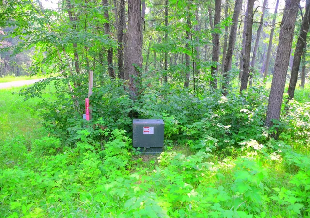 4th image of 38970 Odin Ct, Browerville, MN 56438 | MLS# 7120599