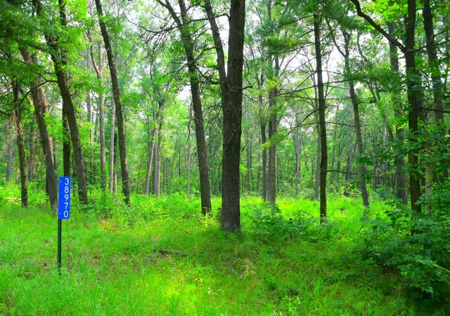 5th image of 38970 Odin Ct, Browerville, MN 56438 | MLS# 7120599