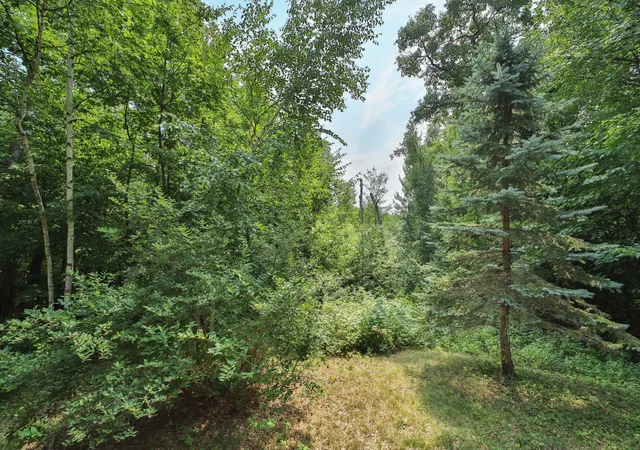 53rd image of 11794 County Road 1 Sw, Pillager, MN 56473 | MLS# 7120648
