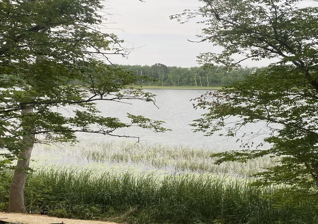 Land for sale at Tbd Wolf Ridge Dr, Cass Lake, MN 56633 | MLS# 7120688