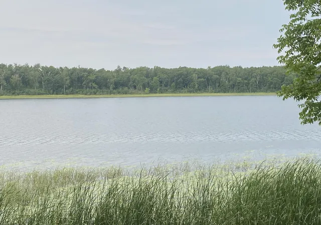 Photo 2 of Land for sale at Tbd Wolf Ridge Dr, Cass Lake, MN 56633 | MLS# 7120688 | Listing updated on 2026-08-26