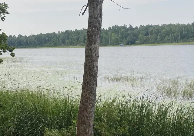 Photo 3 of Land for sale at Tbd Wolf Ridge Dr, Cass Lake, MN 56633 | MLS# 7120688 | Listing updated on 2026-08-26