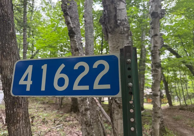 48th image of 41622 Turtle Lake View Trail, Bigfork, MN 56628 | MLS# 7120711
