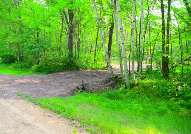 2nd image of 27537 Ode Cir, Browerville, MN 56438 | MLS# 7120774