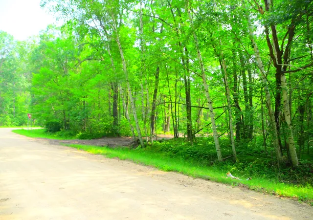 Photo 3 of Land for sale at 27537 Ode Cir, Browerville, MN 56438 | MLS# 7120774 | Listing updated on 2026-08-03