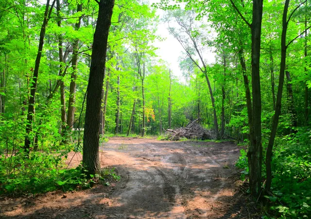 Photo 3 of Land for sale at 27537 Ode Cir, Browerville, MN 56438 | MLS# 7120774 | Listing updated on 2026-08-03