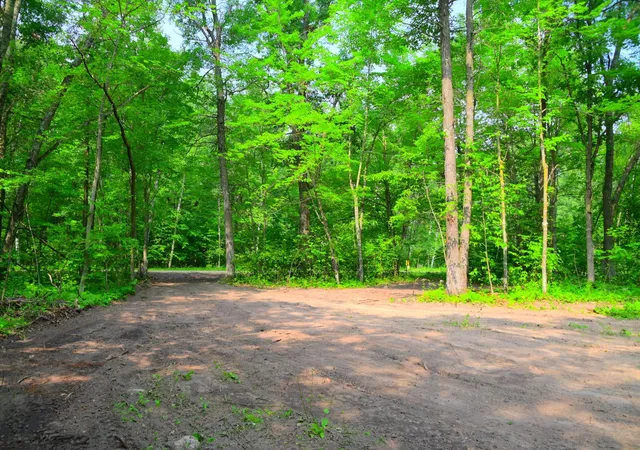 Photo 4 of Land for sale at 27537 Ode Cir, Browerville, MN 56438 | MLS# 7120774 | Listing updated on 2026-08-03