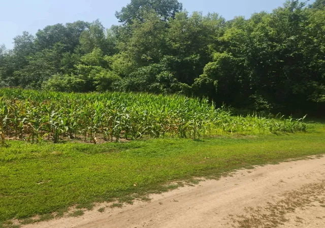 1st image of Xxx 220th Ave Lot 3, New Richmond, WI 54017 | MLS# 7120905