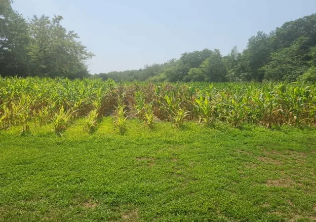 2nd image of Xxx 220th Ave Lot 3, New Richmond, WI 54017 | MLS# 7120905
