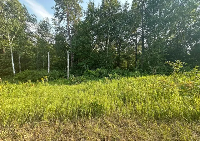 3rd image of Tbd Ski Chalet Dr, Pequot Lakes, MN 56472 | MLS# 7120942