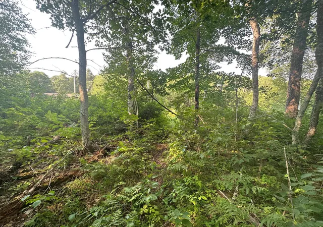 4th image of Tbd Ski Chalet Dr, Pequot Lakes, MN 56472 | MLS# 7120942