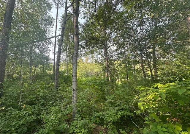 5th image of Tbd Ski Chalet Dr, Pequot Lakes, MN 56472 | MLS# 7120942