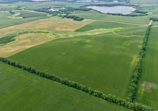 Photo 2 of Land for sale at 250 Avenue, Tracy, MN 56175 | MLS# 7121040 | Listing updated on 2026-08-04