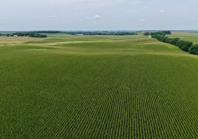 Photo 3 of Land for sale at 250 Avenue, Tracy, MN 56175 | MLS# 7121040 | Listing updated on 2026-08-04