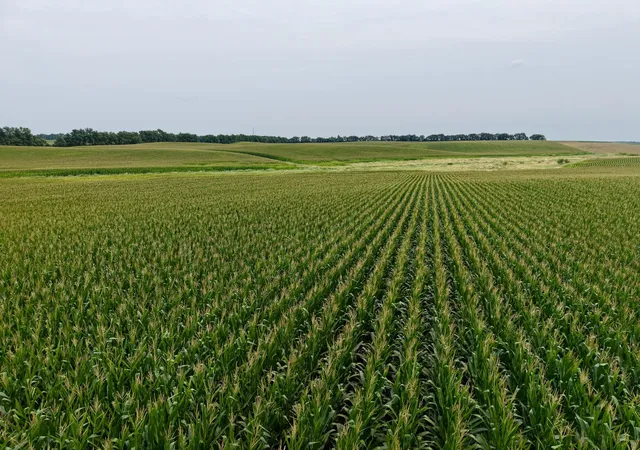 Photo 3 of Land for sale at 250 Avenue, Tracy, MN 56175 | MLS# 7121040 | Listing updated on 2026-08-04