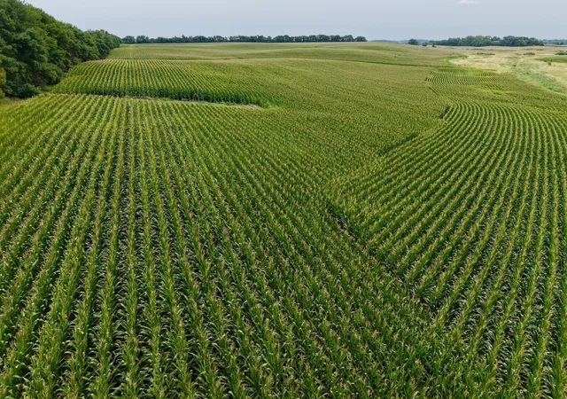 Photo 4 of Land for sale at 250 Avenue, Tracy, MN 56175 | MLS# 7121040 | Listing updated on 2026-08-04