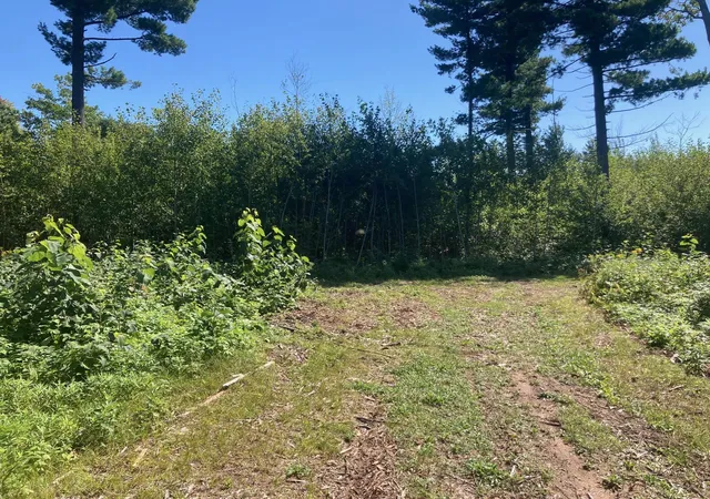 28th image of Lot 4 Surely Dr, Siren, WI 54872 | MLS# 7121134