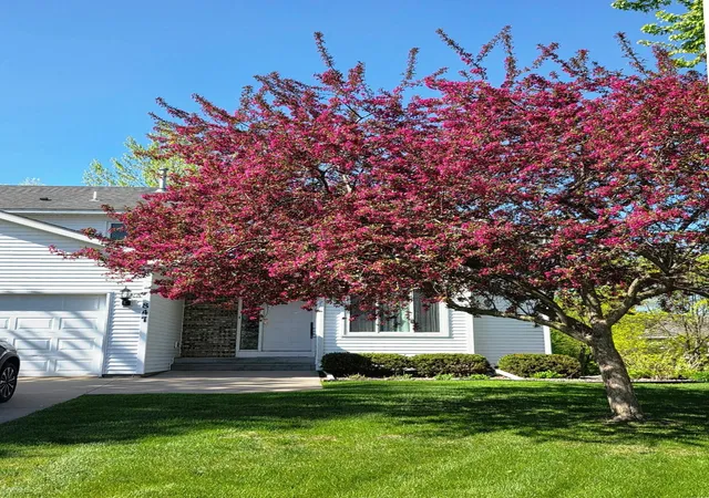 image of 847 Vista Cir, Delano, MN 55328 | MLS# 7121148