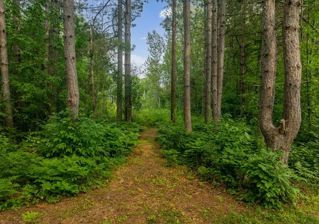 2nd image of Tbd Hanson Lake Rd, Grand Rapids, MN 55744 | MLS# 7121300