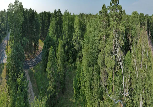 Photo 3 of Land for sale at Tbd Solitude Way, Merrifield, MN 56465 | MLS# 7121394 | Listing updated on 2026-08-10