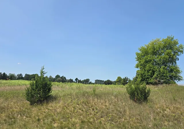 2nd image of 19xxx Tamarack St Nw, Cedar, MN 55011 | MLS# 7121404