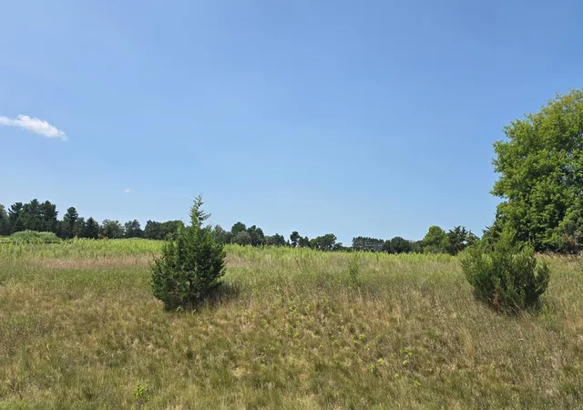 Photo 3 of Land for sale at 19xxx Tamarack St Nw, Cedar, MN 55011 | MLS# 7121404 | Listing updated on 2026-08-05